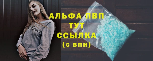 стаф Баксан