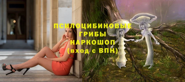 стаф Баксан