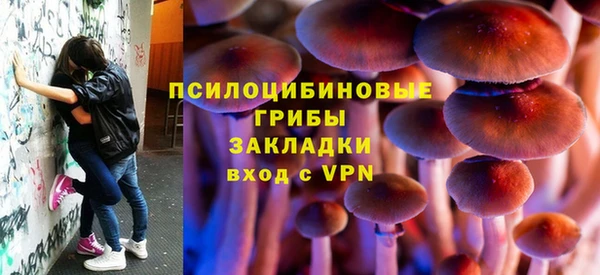 твердый Балахна