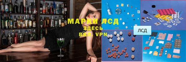 стаф Баксан